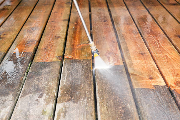 Animal Enclosure Cleaning in Central, SC